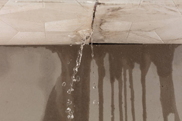 Professional Water Extraction technician working in North Franklin, CT